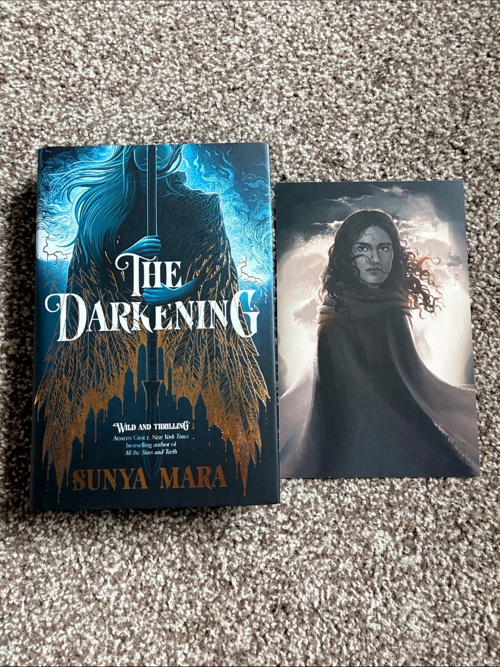 fairyloot the darkening by sunya mara
